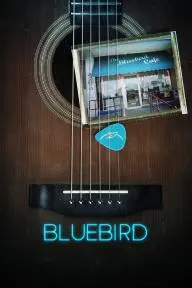 Bluebird_peliplat