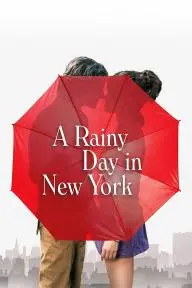 A Rainy Day in New York_peliplat
