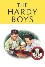 The Hardy Boys: The Mystery of the Applegate Treasure_peliplat