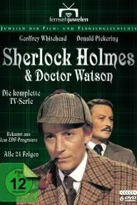 Sherlock Holmes and Doctor Watson_peliplat