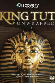 King Tut Unwrapped_peliplat