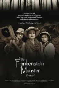 The Frankenstein Monster Project_peliplat