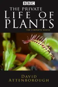The Private Life of Plants_peliplat