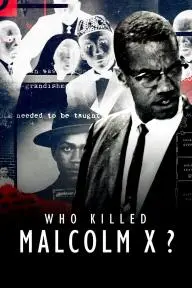 Who Killed Malcolm X?_peliplat