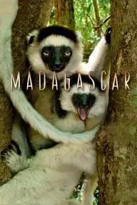 Madagascar_peliplat