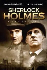 Sherlock Holmes_peliplat