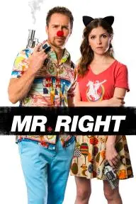 Mr. Right_peliplat