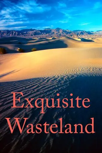 Exquisite Wasteland_peliplat