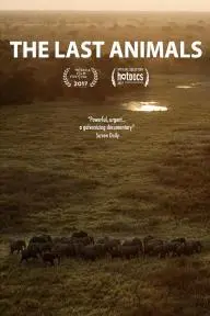 The Last Animals_peliplat