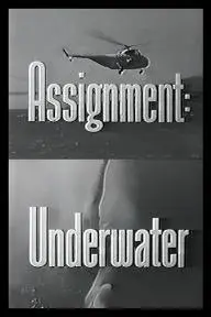 Assignment: Underwater_peliplat
