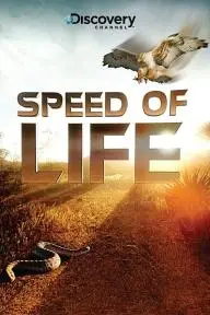 Speed of Life_peliplat