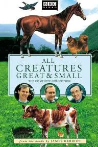 All Creatures Great and Small_peliplat