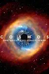 Cosmos: Una odisea en el espacio-tiempo_peliplat