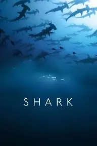 Shark_peliplat