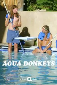Agua Donkeys_peliplat