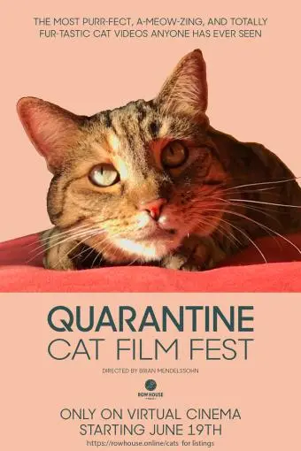 Quarantine Cat Film Fest_peliplat
