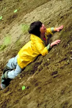 Sunny Besen Thrasher