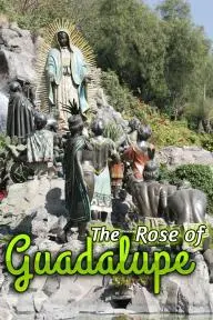 La rosa de Guadalupe_peliplat