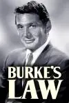 La ley de Burke_peliplat