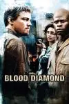 Blood Diamond_peliplat
