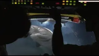 Sharks Attack Submarine | Blue Planet II Behind The Scenes_peliplat