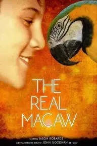 The Real Macaw_peliplat