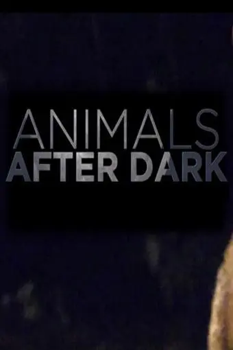 Animals After Dark_peliplat