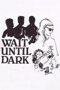 Wait Until Dark_peliplat