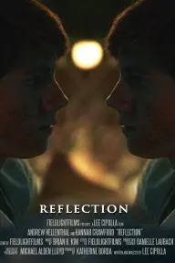 Reflection_peliplat