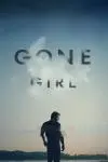Gone Girl_peliplat