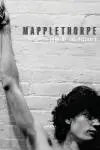 Mapplethorpe: Look at the Pictures_peliplat