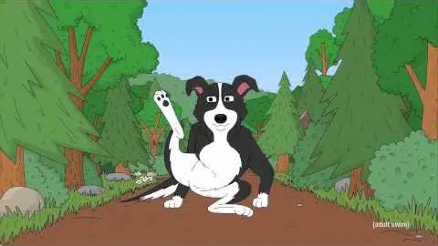 Mr. Pickles Intro