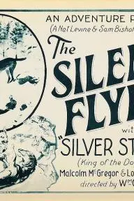 The Silent Flyer_peliplat