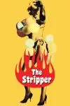 The Stripper_peliplat