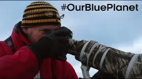 What Does It Take To Be A Blue Planet II Cameraman? #OurBluePlanet | BBC Earth_peliplat