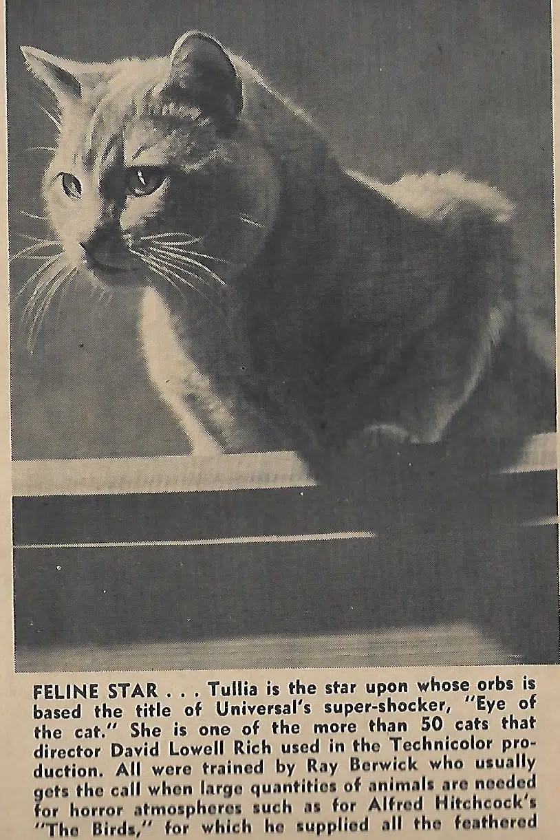 Tullia