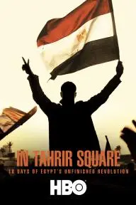 In Tahrir Square: 18 Days of Egypt's Unfinished Revolution_peliplat