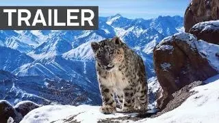 Planet Earth II: Official Extended Trailer | BBC Earth_peliplat