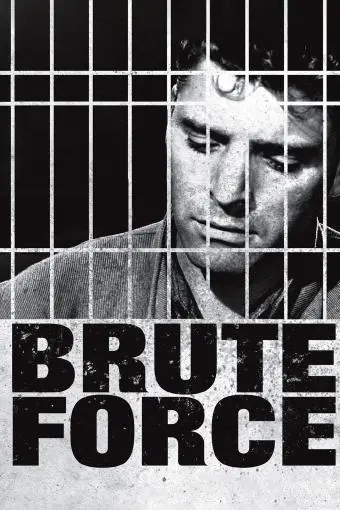 Brute Force_peliplat