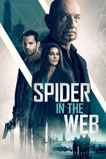 Spider in the Web_peliplat
