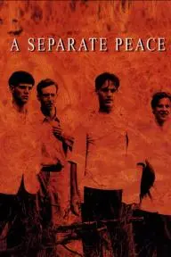 A Separate Peace_peliplat