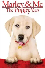 Marley & Me: The Puppy Years_peliplat