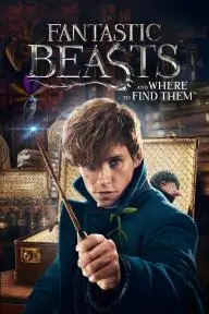 Fantastic Beasts and Where to Find Them_peliplat
