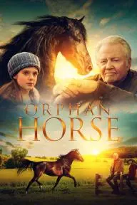 Orphan Horse_peliplat