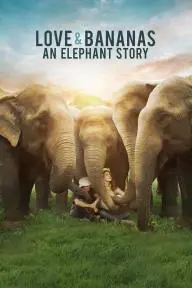 Love & Bananas: An Elephant Story_peliplat