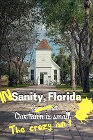 In Sanity, Florida_peliplat