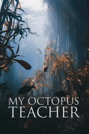 My Octopus Teacher_peliplat
