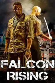 Falcon Rising_peliplat