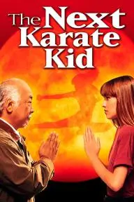 The Next Karate Kid_peliplat