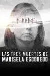 Las tres muertes de Marisela Escobedo_peliplat